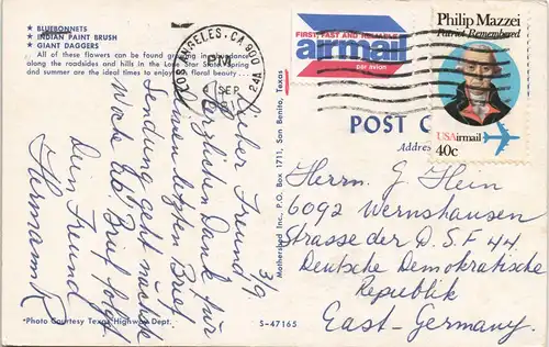 Texas Allgemein Texax Flowers BLUEBONNETS INDIAN PAINT BRUSH GIANT DAGGERS 1981