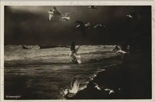 Ansichtskarte  Tiere - Vögel Möwen-Spiel an der See 1935