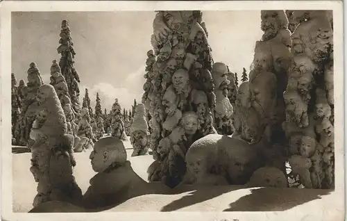 Bayerisch Eisenstein Fotokunst - Schneigeister im Wald Arber 1929