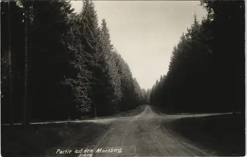 Neuhaus im Solling-Holzminden Partie auf dem Moosberg gel. Landpoststempel 1936
