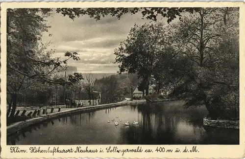 Ansichtskarte Neuhaus im Solling-Holzminden KLim - Straßenpartie 1935
