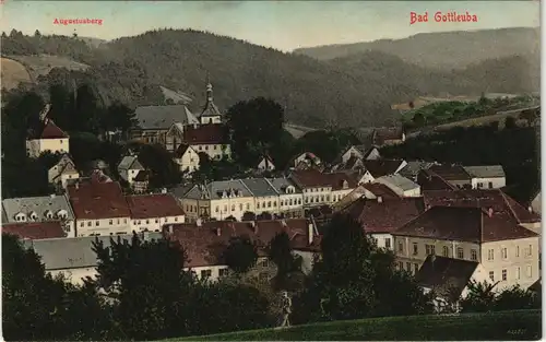 Ansichtskarte Bad Gottleuba-Berggießhübel Stadtpartie coloriert 1907