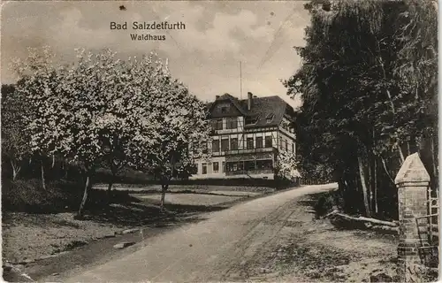 Ansichtskarte Bad Salzdetfurth Waldhaus 1920