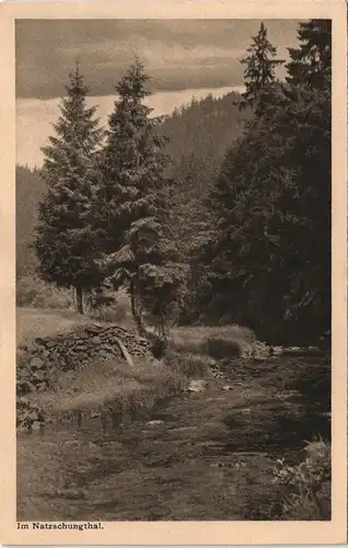 Ansichtskarte Olbernhau Natzschungtal/Erzgebirge 1928