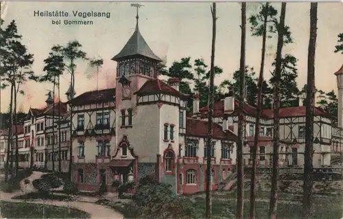 Ansichtskarte Gommern Heilstätte Vogelsang - coloriert 1913