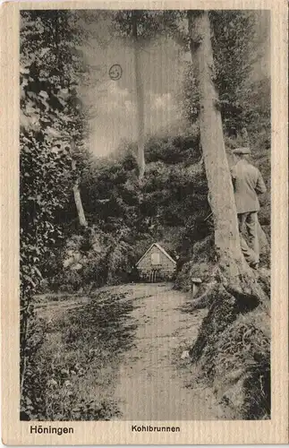 Ansichtskarte Höningen (Altleiningen) Höningen - Kohlbrunnen 1914
