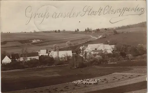 Ansichtskarte Oberappenberg Stadtpartie, Schafherde 1906 Privatfoto