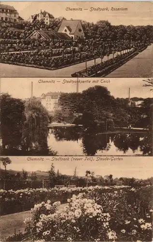 Chemnitz Mehrbild-AK Stadtpark Rosarium Teich Staude-Garten 1914