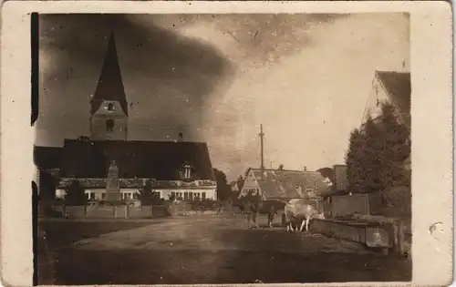 Westheim (Landkreis Weißenburg-Gunzenhausen) Straße Kühe Kirche 1926 Privatfoto