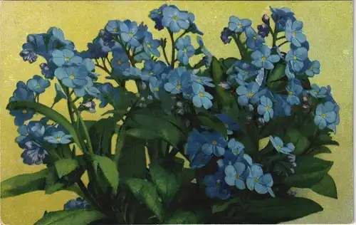 Ansichtskarte  Botanik :: Blumen Photochromioe Feilchen 1911