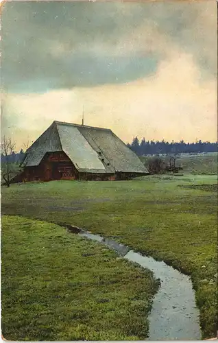 Ansichtskarte Triberg im Schwarzwald Stimmungsbild - Schwarzwaldhaus 1912