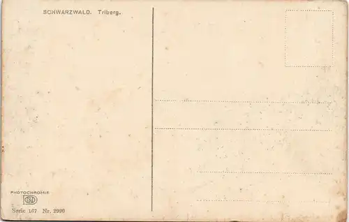 Ansichtskarte Triberg im Schwarzwald Stimmungsbild - Schwarzwaldhaus 1912