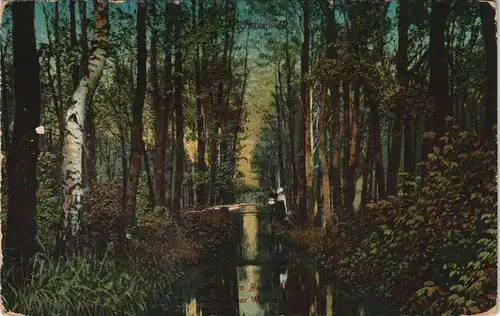 Lübbenau (Spreewald) Lubnjow Spreewaldpartie - Stimmungsbild 1916