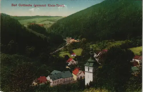Ansichtskarte Bad Gottleuba-Bad Gottleuba-Berggießhübel Stadtpartie 1912
