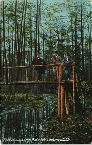 Lübbenau (Spreewald) Lubnjow Spreewald Königl. Wald Altzaucher Mühle. 1911