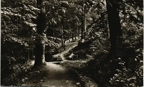 Ansichtskarte Bad Harzburg Philosophenweg 1958