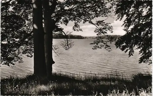 Ansichtskarte Malente HOLSTEINISCHE SCHWEIZ - Am Kellersee 1957