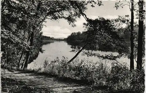 Ansichtskarte Mölln (Schleswig-Holstein) Waldweg um den Schmalsee 1960