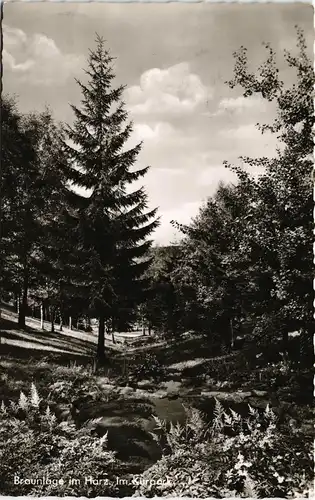 Ansichtskarte Braunlage Kurpark Park Anlage 1964