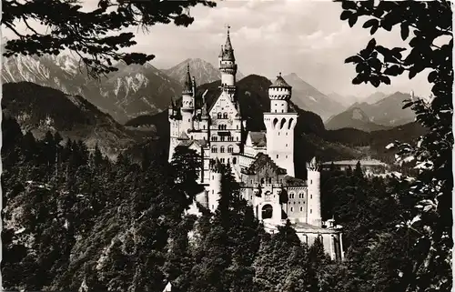 Ansichtskarte Schwangau Schloss Neuschwanstein (Castle in Bavaria) 1964