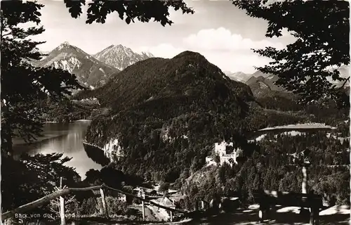 Hohenschwangau-Schwangau Blick v.d. Jugend auf Schloss   Alpsee Schwansee 1964