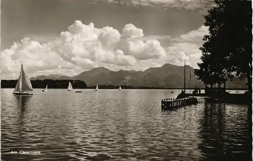 Ansichtskarte Chiemsee Chiemsee (See) Panorama mit Segelbooten 1966