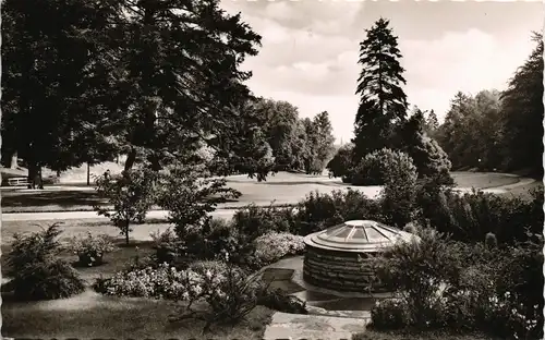 Ansichtskarte Bad Wildungen Kurgarten/Kurpark mit Viktorquelle 1958