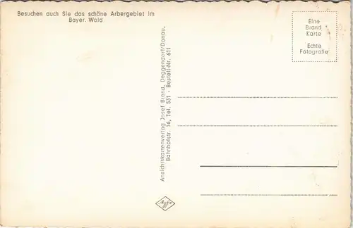 Ansichtskarte Bayerisch Eisenstein Richard Wagner-Kopf 4 Bild 1961