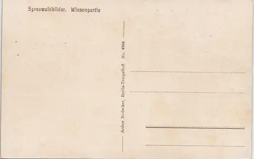 Lübbenau (Spreewald) Lubnjow Spreewaldbilder - Wiesenpartie 1913