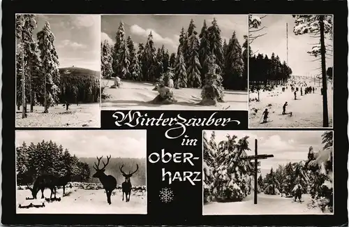 Ansichtskarte Altenau-Clausthal-Zellerfeld MB - Winterzauber 1961
