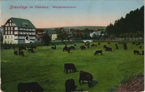 Ansichtskarte Braunlage Wiethfelderstraße 1915