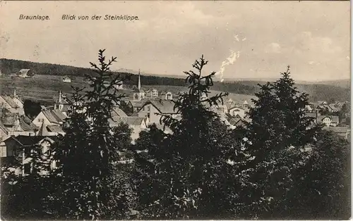 Ansichtskarte Braunlage Blick von der Steinklippe. 1915