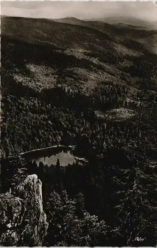 Bayerischer Bayerischer Wald Panorama Weitsicht 1958 mit Stempel ZWIESEL