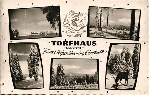 Torfhaus (Harz)-Altenau Mehrbildkarte Skiparadies im Oberharz Torfhaus 1960