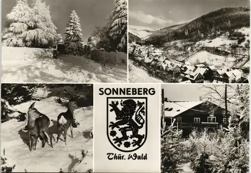 Ansichtskarte Sonneberg DDR Mehrbild-AK 4 Winteransichten Foto-Ansichten 1987