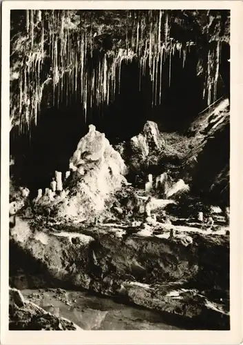 Ansichtskarte Saalfeld (Saale) DDR AK Feengrotten Saalfeld/Thür. 1953