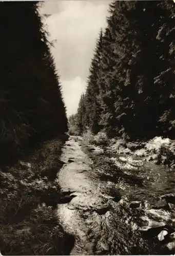 Ansichtskarte Muldental DDR AK Muldental bei Holzhau im Erzgebirge 1972
