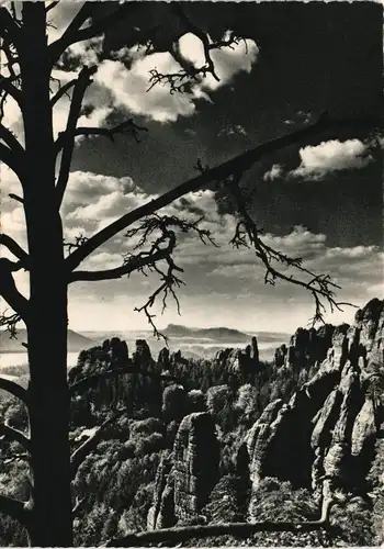 Ansichtskarte Bad Schandau Schrammsteine Sächsische Schweiz 1950