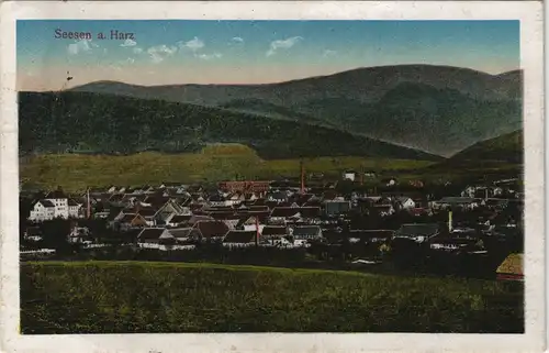 Ansichtskarte Seesen Blick auf die Stadt 1922