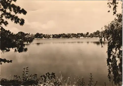 Ansichtskarte Parthenstein Am Großsteinberger See zu DDR-Zeiten 1965