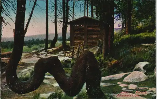 Ansichtskarte Goslar Hütte - Achtermann - Fichte 1913