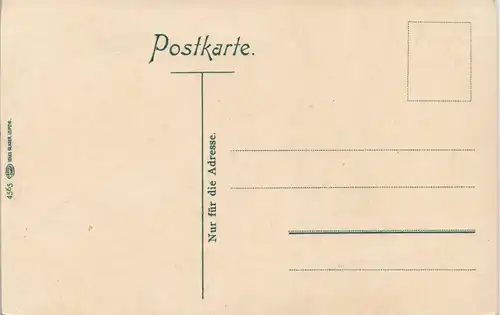 Ansichtskarte Ilsenburg (Harz) Ilsefälle-Ilsetal 1907