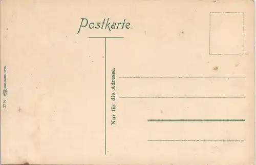 Ansichtskarte Eisenach Straße - Partie am Kurhaus Fürstenhof 1909