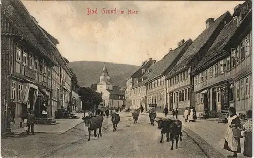 Ansichtskarte Bad Grund (Harz) Straße Viehabtrieb 1905