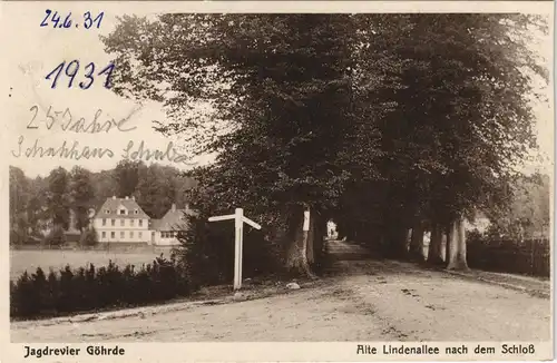 Ansichtskarte Göhrde Jagdrevier Göhrde - Lindenallee, Landpoststempel 1931
