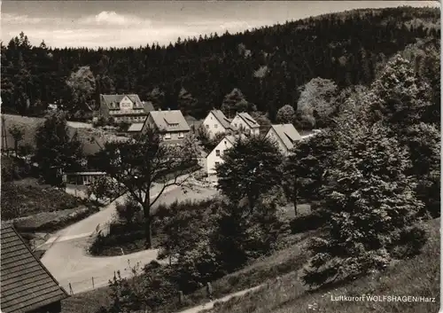 Ansichtskarte Wolfshagen (Harz) Stadtpartie 1956
