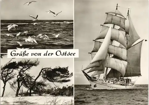 Ansichtskarte .Mecklenburg-Vorpommern MB: Ostsee, Segelboot, Dünen 1981