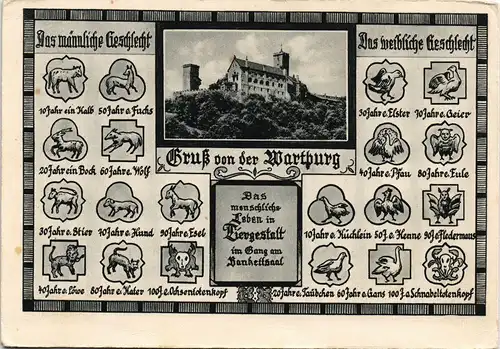 Ansichtskarte Eisenach Wartburg - Wappen 1940