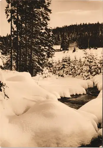Ansichtskarte Johanngeorgenstadt DDR AK Steinbachtal mit Schimmel 1963