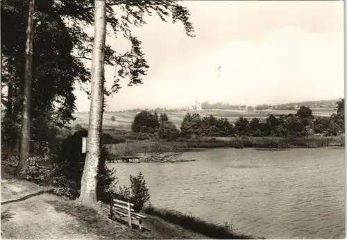 Ansichtskarte Friedrichsbrunn Teich - Fernsicht auf die Stadt 1969
